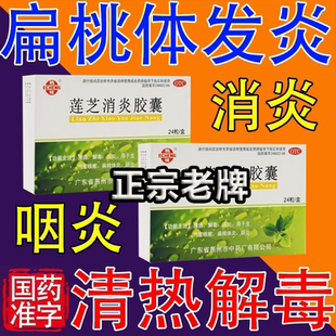 莲芝消炎胶囊24粒 支气管炎扁桃体发炎咽喉肿痛 咽炎专用特效解毒