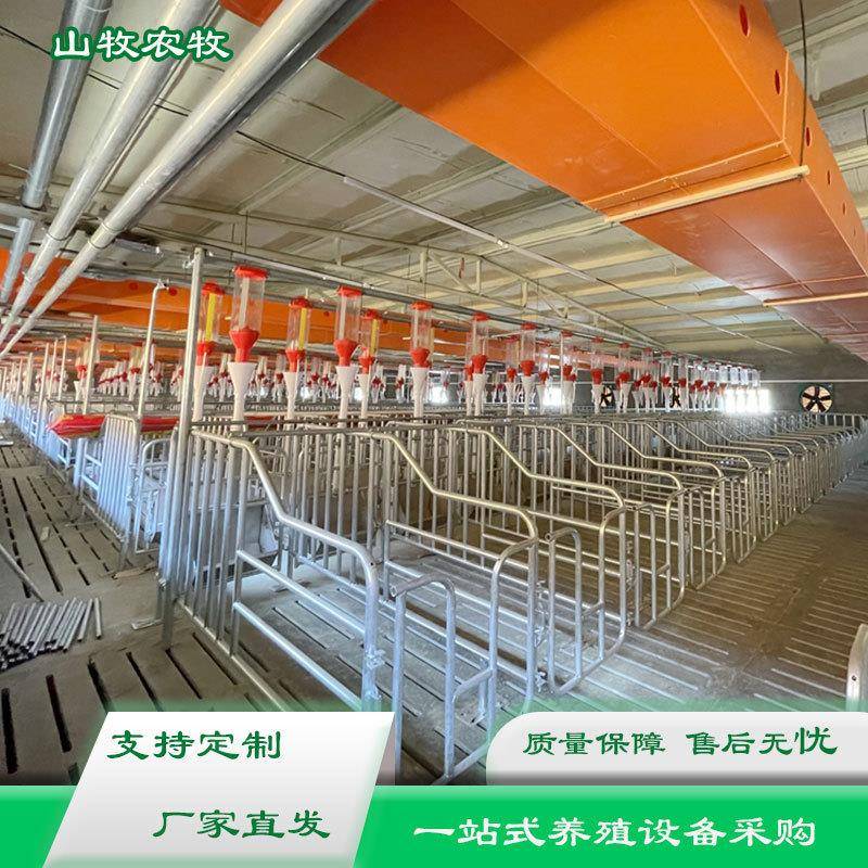养殖设备欧式热镀锌母猪定位栏限位栏落地式加厚分娩限位栏