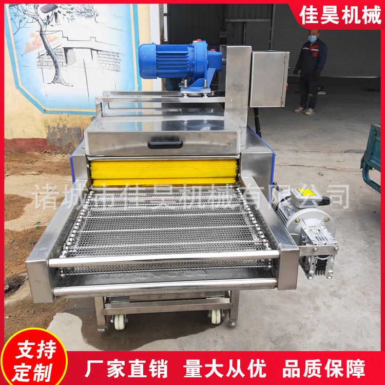 全自动粽叶毛刷清洗机小型商用