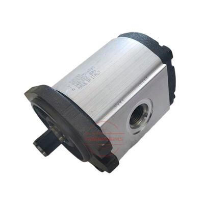 意大利RONZIO罗01ZA0L21C6406D茨齿轮泵01ZAG21C40D02ZVQSCG06434