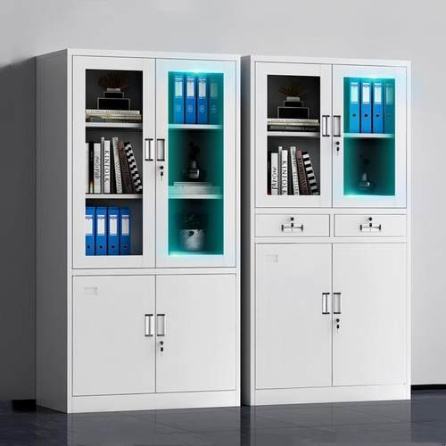 财文件柜皮柜办公室钢制储物柜资料柜LP-35档案柜带柜锁铁矮柜务