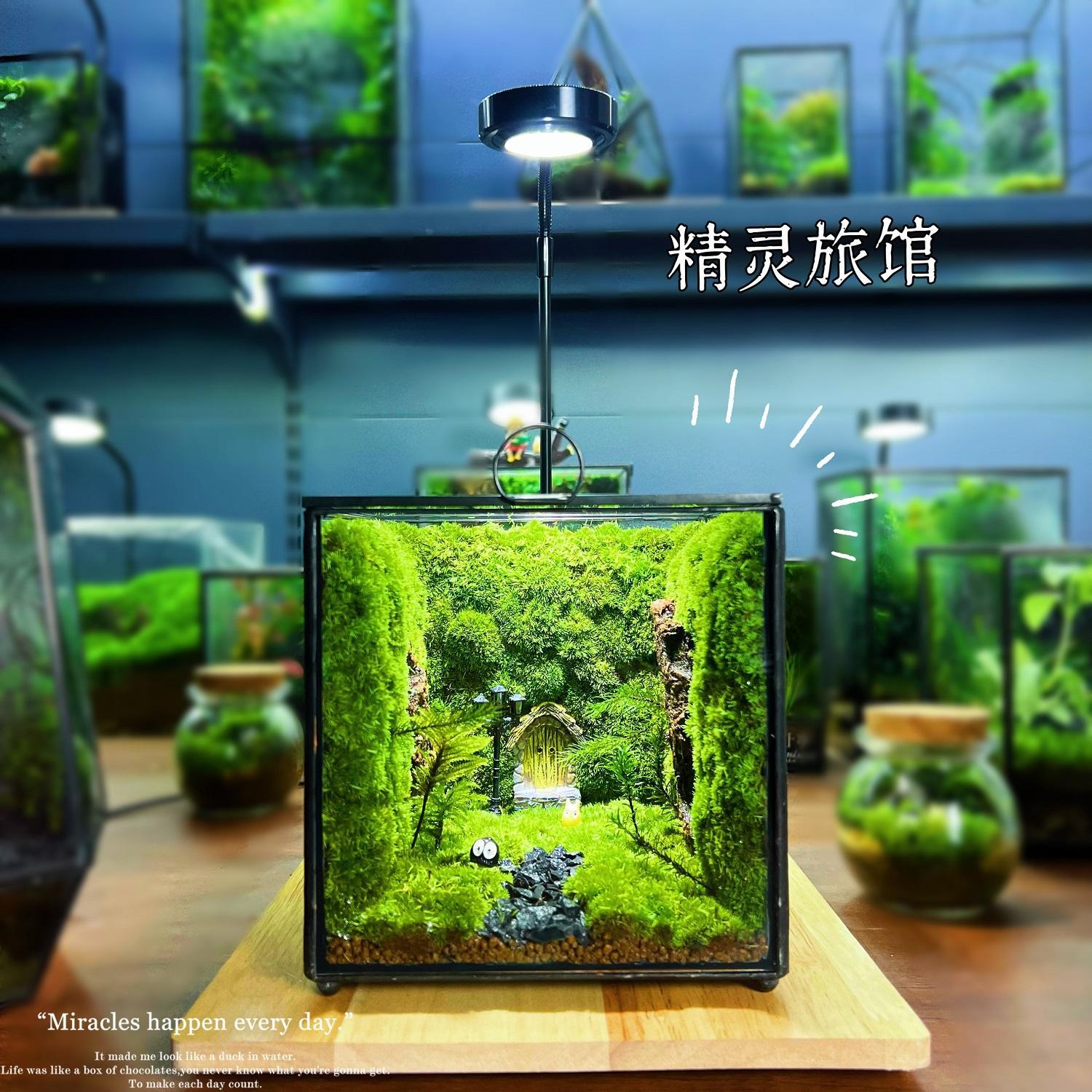 桌面苔藓微景观生态瓶懒人养护生态闷养盒创意绢花向日葵植绒其他