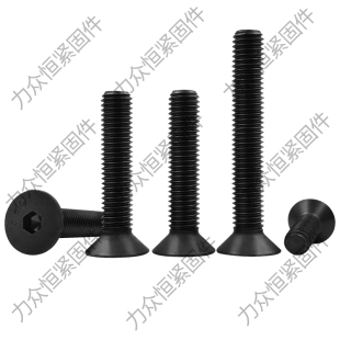 速发直销 x5x40M45x50x 12.级平头内六角钉丝螺沉头螺栓x4M5M6M8