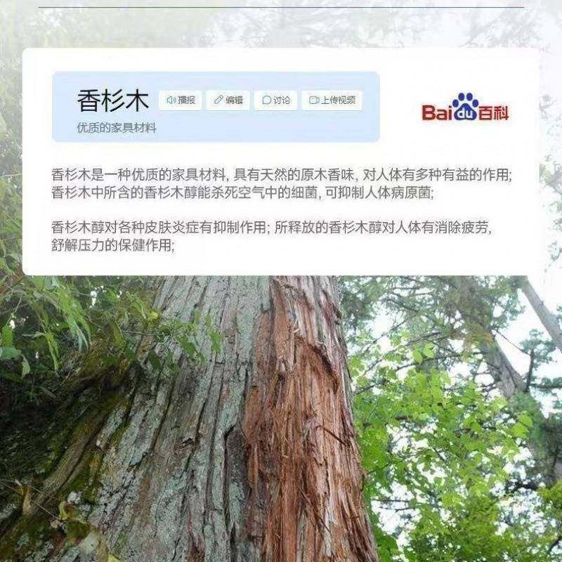 实木床音板排骨架加叠厚条床板静防潮透气护腰杉IJ959584折木板,畜牧/养殖物资,特种养殖设备,淘宝优惠券,粉丝福利购,淘宝优惠卷