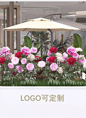 商户外铁艺街不钢花tlznloj#箱锈成品组合商业道路用家用