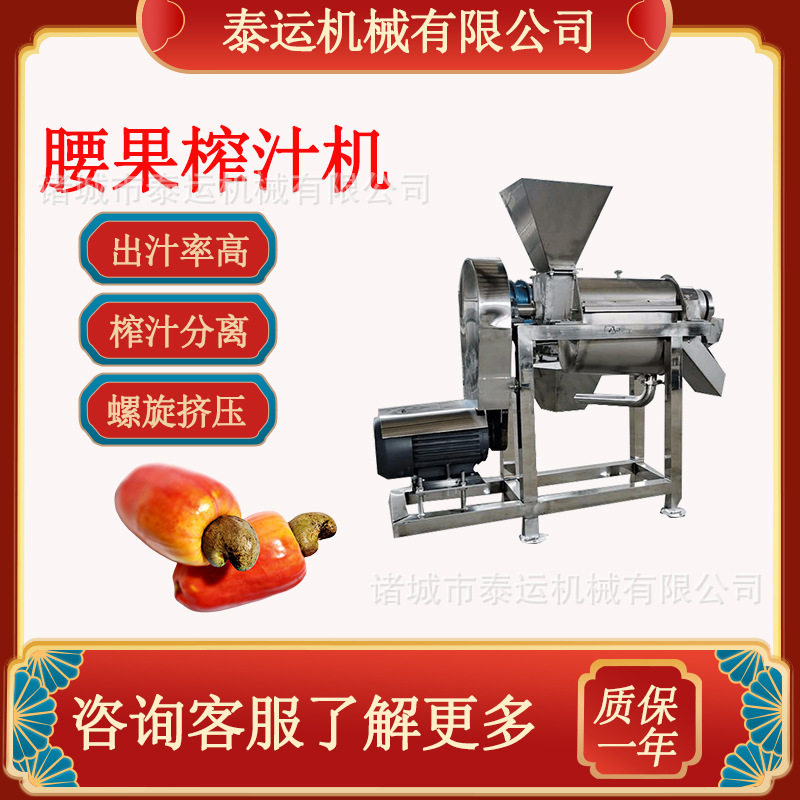 腰果榨汁机树莓去核打浆设备桑葚浆渣自动分离机酸木瓜破碎榨汁机