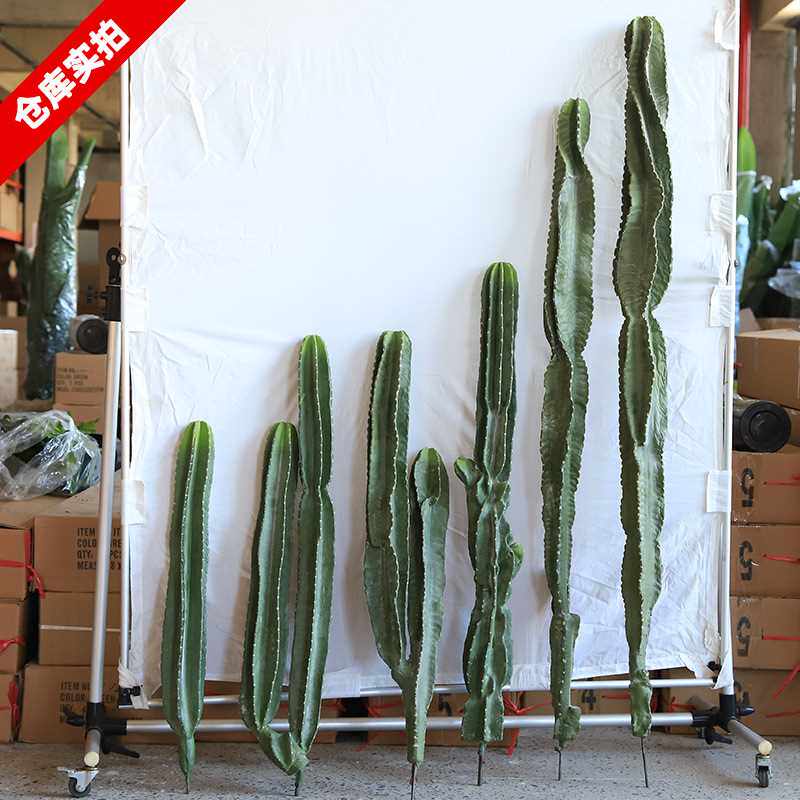 仿真仙人掌植物沙漠绿植造景墨西哥仙人掌量天尺假仙人柱沙生绿植