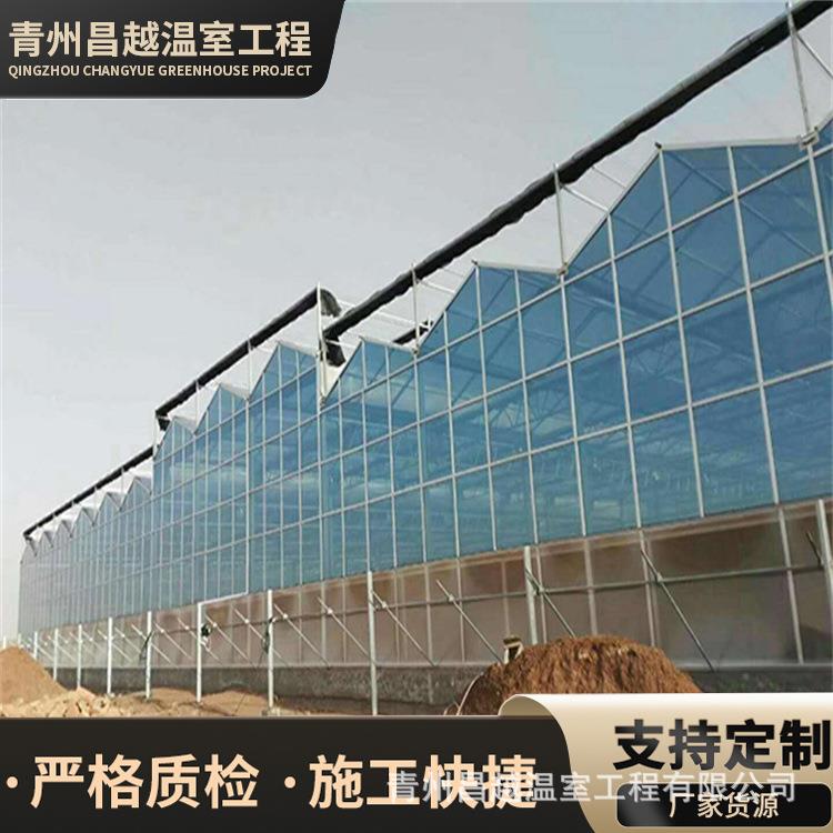 新型结构设计文洛式玻璃温室全自动控制钢管骨架设计智能温室