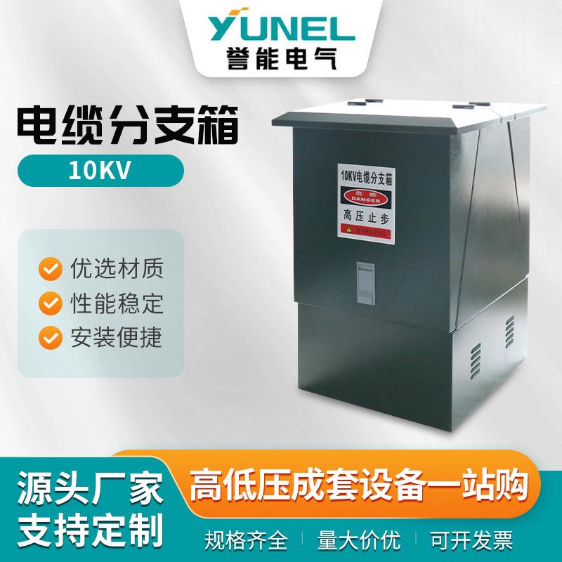 10KV电缆分支箱(304不锈钢2.0)欧式高压电缆分支箱户外欧式电缆箱
