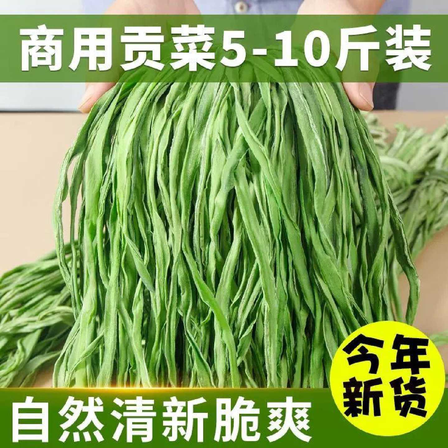 商用贡菜干4-10斤大量批发凉拌菜火锅食材市场串串饭店苔干菜干货