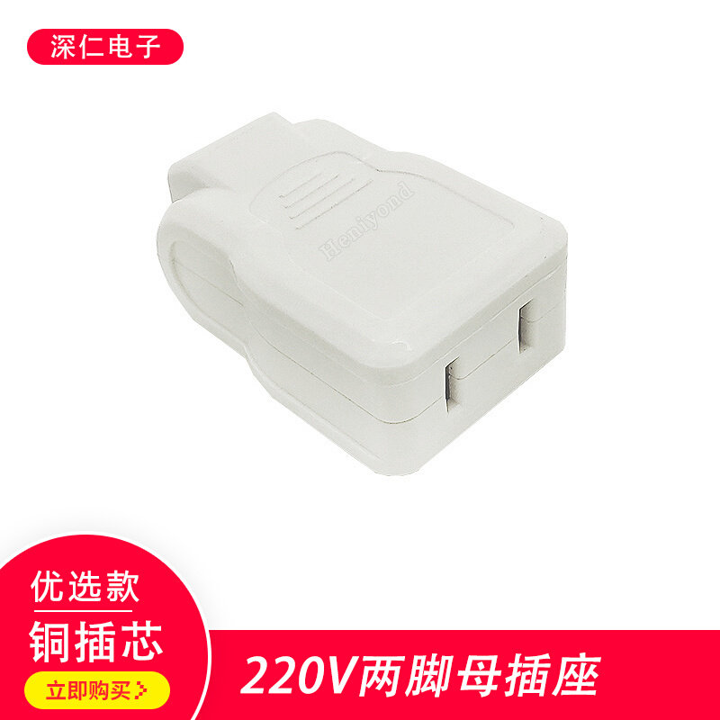 纯铜两孔二脚2孔电源母插头监控插座电器电线10A公220V延长接线头