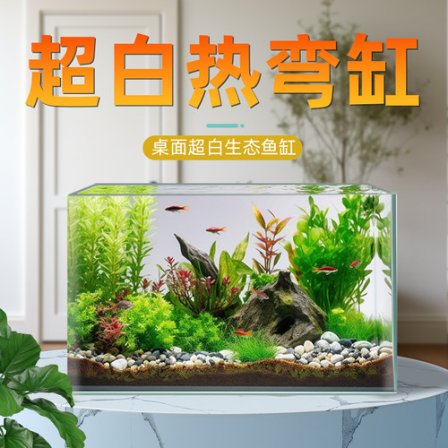 热弯玻璃鱼缸客厅小型水族箱桌面免换水斗鱼生态迷你鱼缸裸缸