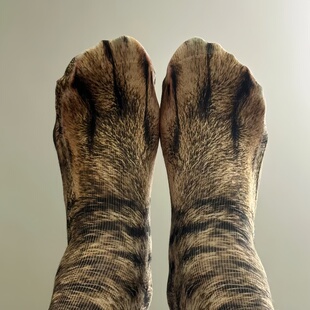 猫爪猫咪猫脚猫腿袜子动物3d仿真jio微博网红同款长筒袜男女搞怪