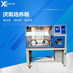YQX-Ⅱ厌氧培养箱细菌培养箱厌氧生物培养箱