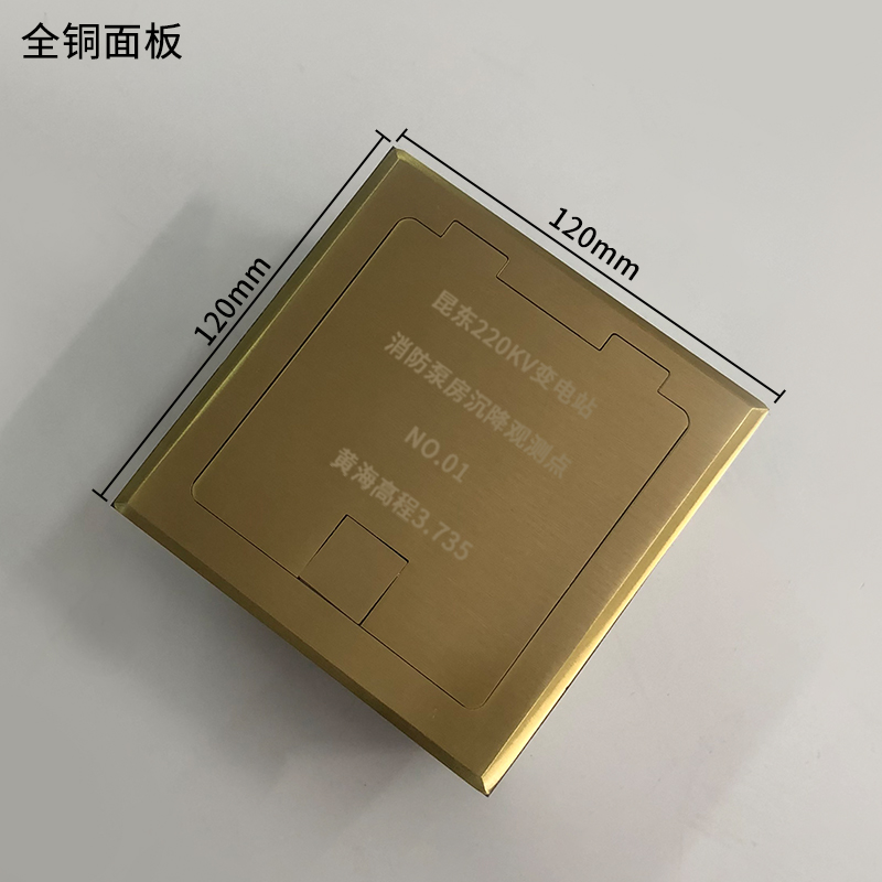 定制不锈钢沉降观测点保护盒水准点标志测量钉盖板接地测试免打字