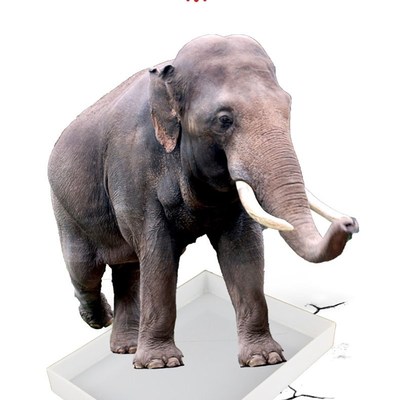 pp全新料聚丙烯耐酸碱托盘防泄漏实验室托盘废液缸托盘试剂架长方