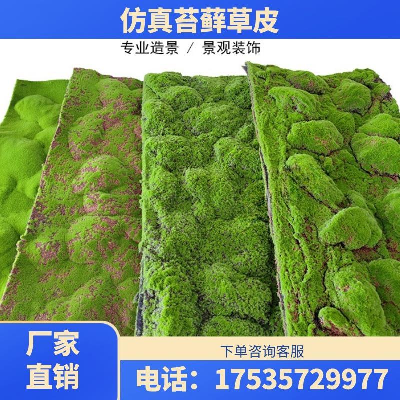 仿真苔藓草皮仿真青苔草坪植物景观绿植墙装饰橱窗盆景展示假苔藓