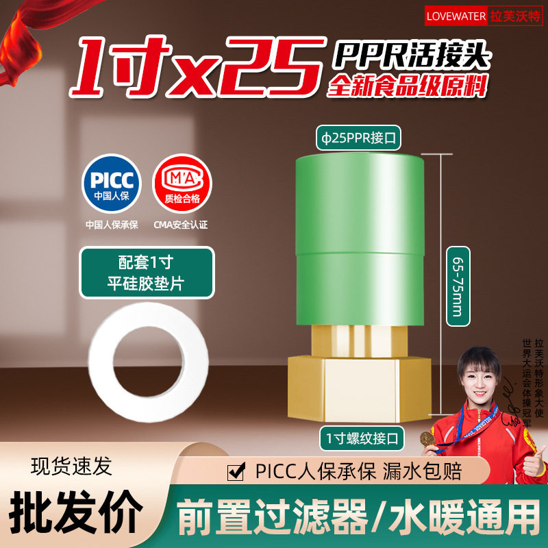 前置过滤器活接头4分6分PPR热熔活接头纯铜直通异径活接头变径