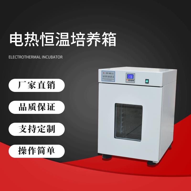 DNG系列电热恒温培养箱厂家微生物细菌培养箱种子发芽催芽箱