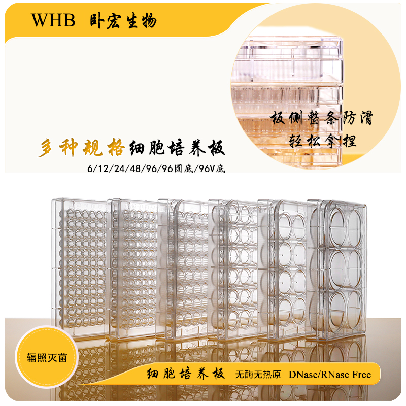 WHB细胞培养板无菌独立包装