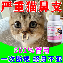 猫鼻支猫瘟特效感冒药专用猫杯状猫咪鼻炎塞感冒药打喷嚏口服剂