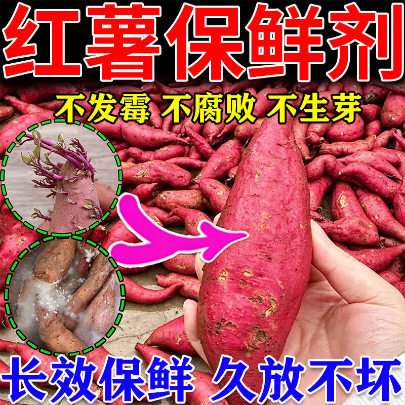 红薯保鲜剂冷库水果专用防腐剂蔬菜柚子土豆生姜防腐烂红苕储存药