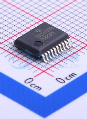 模数转换芯片ADC ADS1255IDBR SSOP-20-208mil 原装正品