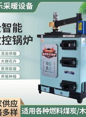 智能燃煤数控锅炉全智能养殖种植锅炉煤电柴生物质锅炉供应