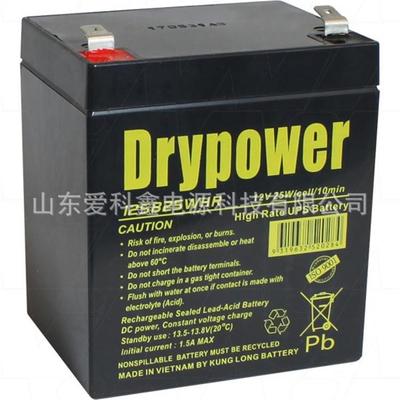 Drypower蓄电池12SB25WHR12V25W电子秤门禁免维护电池