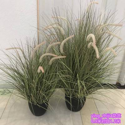 仿真狗尾巴草芦苇草绿植物影楼干花水草橱窗绢花装饰拍摄摆放花艺