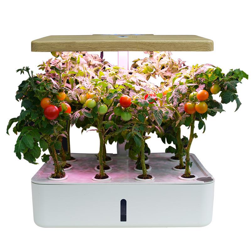 家庭智能水培蔬菜草莓家庭室内种植箱无土栽培设备自动化种菜机