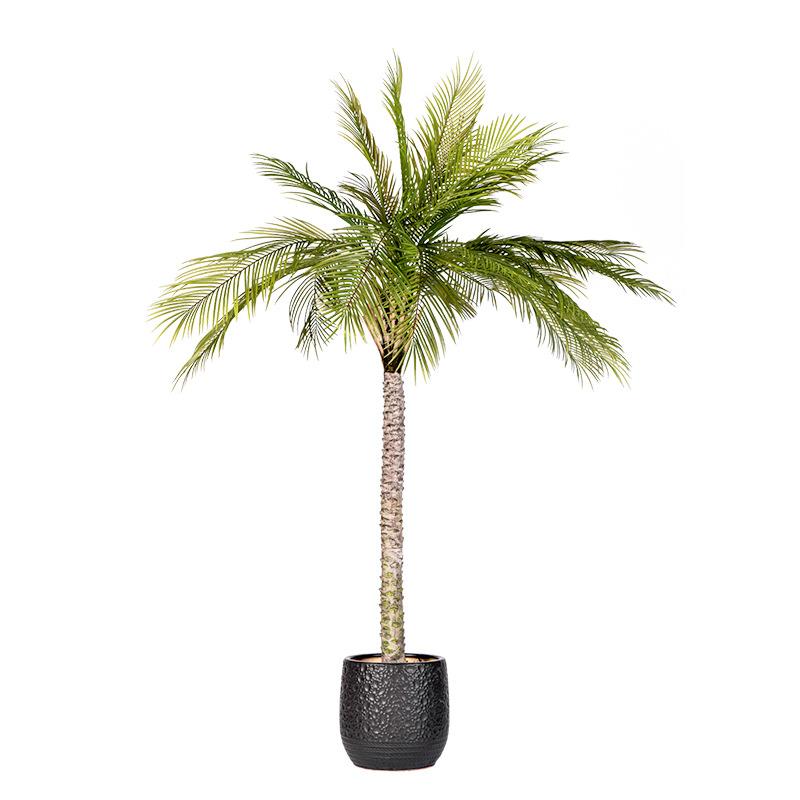大型仿真绿植刺葵针葵散尾葵仿生植物棕榈树蒲葵盆栽假树客厅装饰
