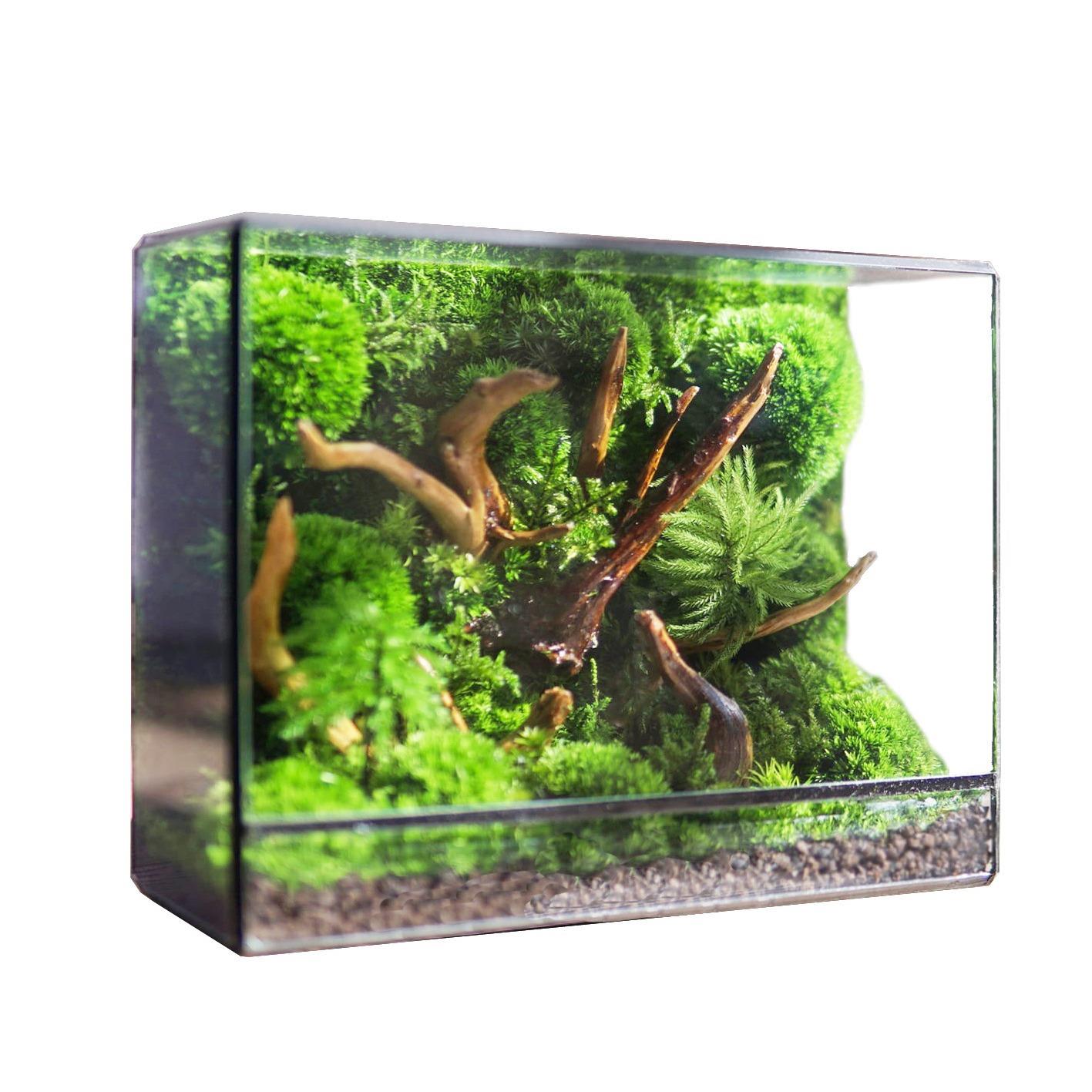 生态瓶苔藓微景观绿植盆栽水草鱼缸装饰造景摆件几个森林玻璃花房