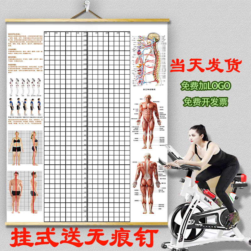 挂式体态评估表体测健身房私教身体矫正网格中医工作室背景墙贴图