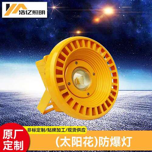 LED圆形防爆灯 投光灯50W200W泛光灯 加油站石油车间化工厂防爆灯