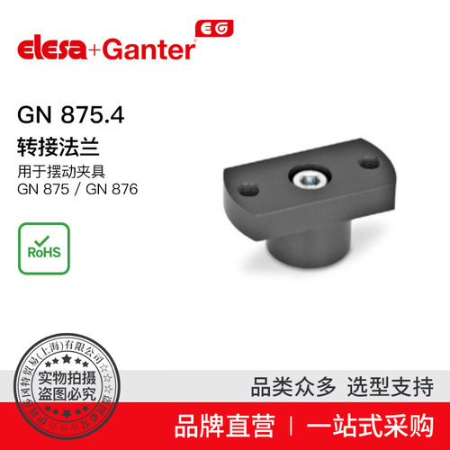 伊莉莎冈特GN875.4转接法兰