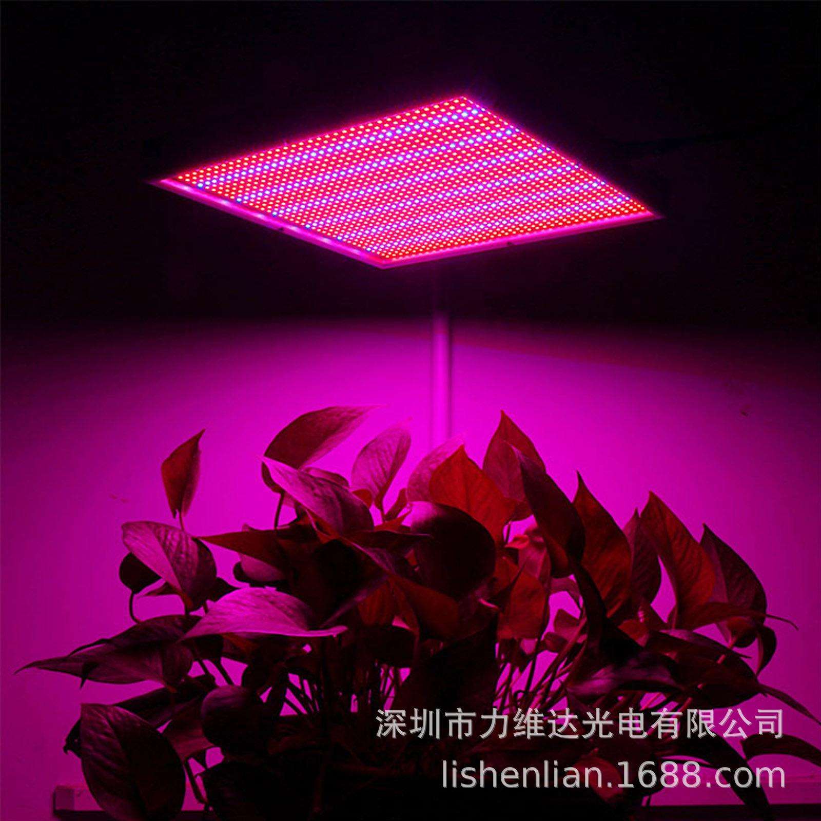 120W 红蓝光谱450nm 630nm LED轻薄面板植物灯室内室外温室补光灯