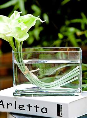 小型透明玻璃花瓶长方形条缸水培玻璃家居玻璃摆件简约桌面摆放