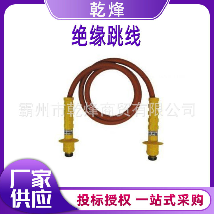 绝缘双接头高压引流线25-210