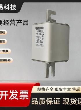 170M5163 170M5164 170M5165 170M5166 170M5167 170M5168保险丝