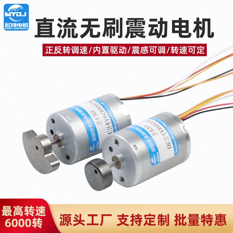 2430无刷直流震动电机行星齿轮12v24v微型电机大扭矩可调速小马达
