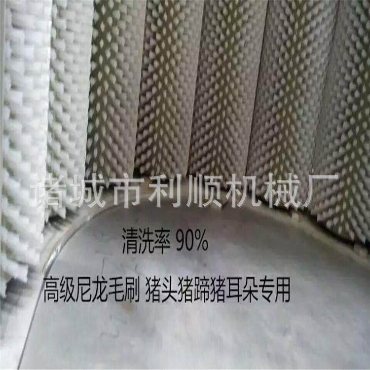羊头清洗机毛刷清洗无残留九辊猪头猪蹄毛刷机厂家