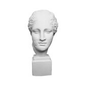 特美石膏人物头小像45麻脸巴术TVW农素描石膏像美术室配套器材