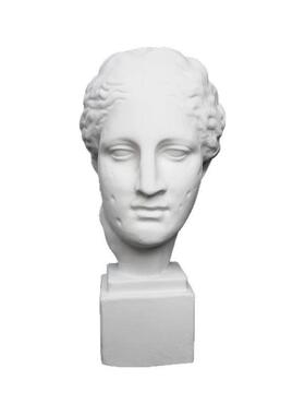 特美石膏人物头小像45麻脸巴术TVW农素描石膏像美术室配套器材