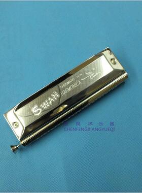 鹅YLY口阶12孔48音天半音琴口琴