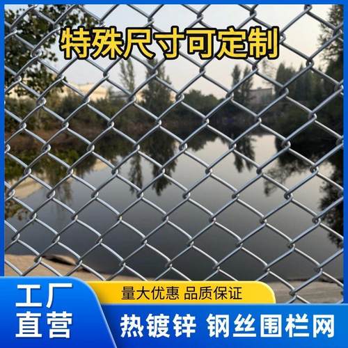 热浸镀锌加粗小孔铁丝围栏网养殖防护隔离网勾花网护栏网菱形网格