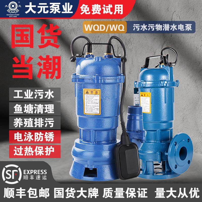 大元污水泵家用吸淤泥抽化粪池污水池抽水泵排涝泵灌溉机自动铸铁