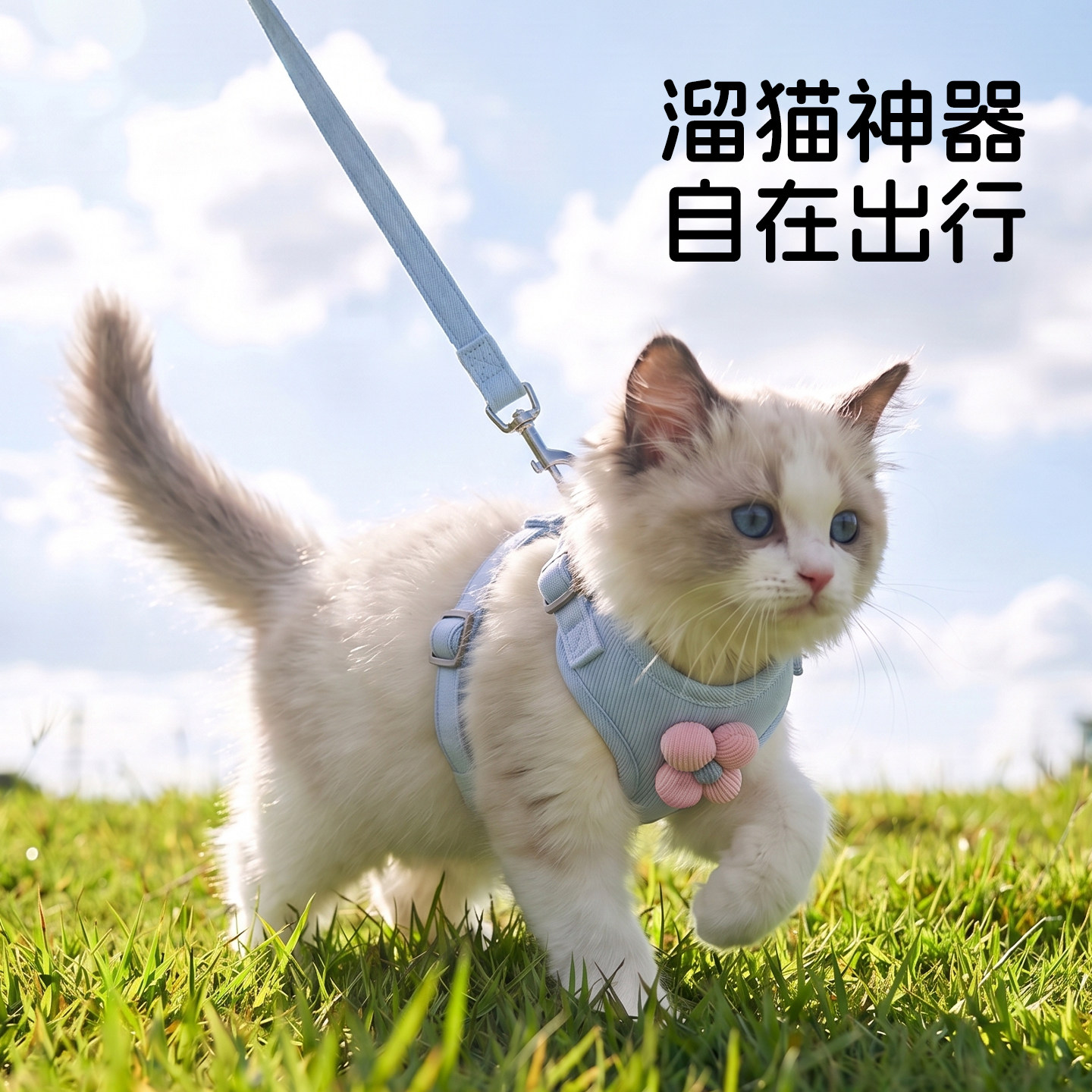 猫咪牵引绳小花可爱猫绳防挣脱不勒脖专用宠物兔工字胸背溜小猫绳图片