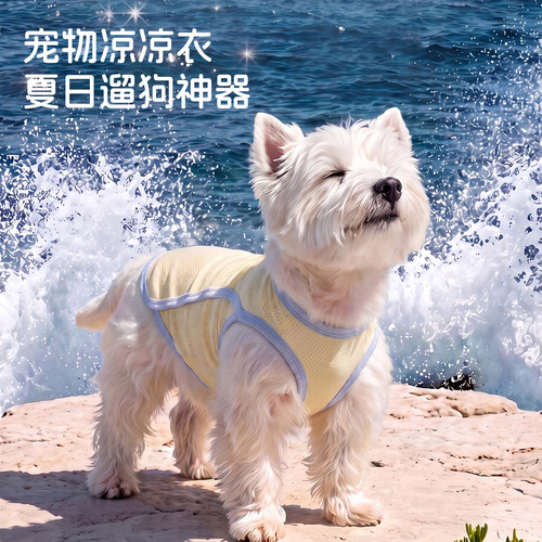 狗狗凉凉衣夏季薄款透气防晒背心中小型犬比熊泰迪凉感宠物居家服