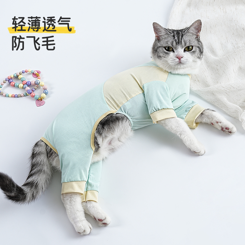 猫衣服夏季薄款防掉毛可牵引幼猫小猫凉感四脚衣小型犬比熊狗衣服